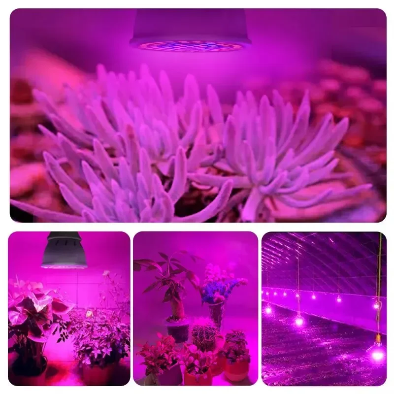 220V E27 60LEDs Plant Grow Light Фитолампы Led с Пълен набор от Развиващите Лампи за Отглеждане на Растения в Оранжерията Hydroponically Fitolampy